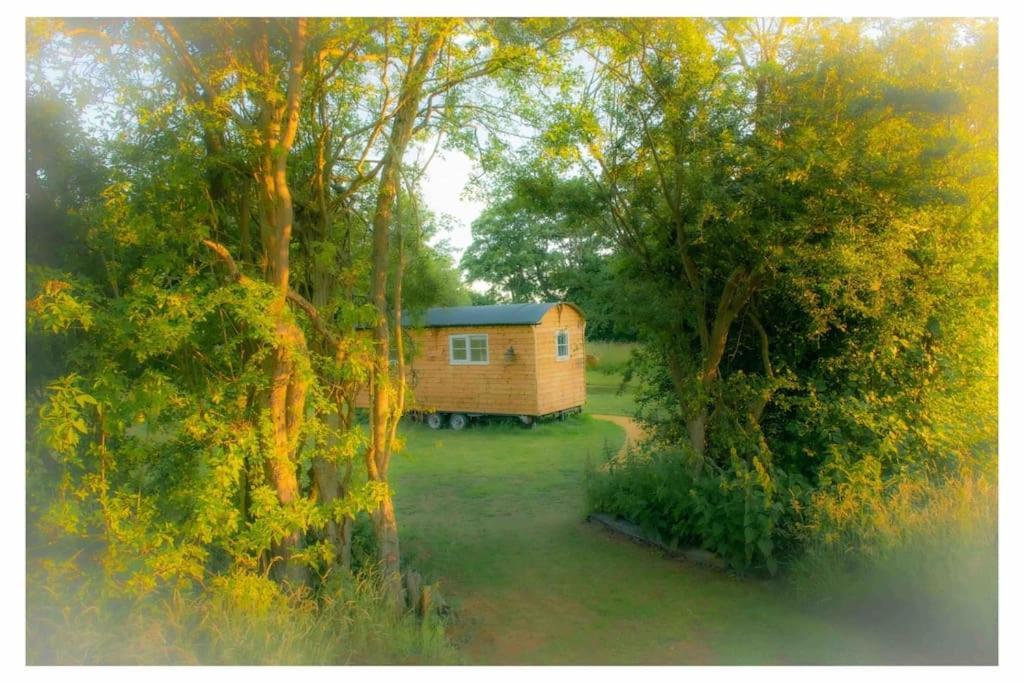 Mountbatten Shepherds Hut & Buckhurst Shepherds Hut Ashford  Kültér fotó