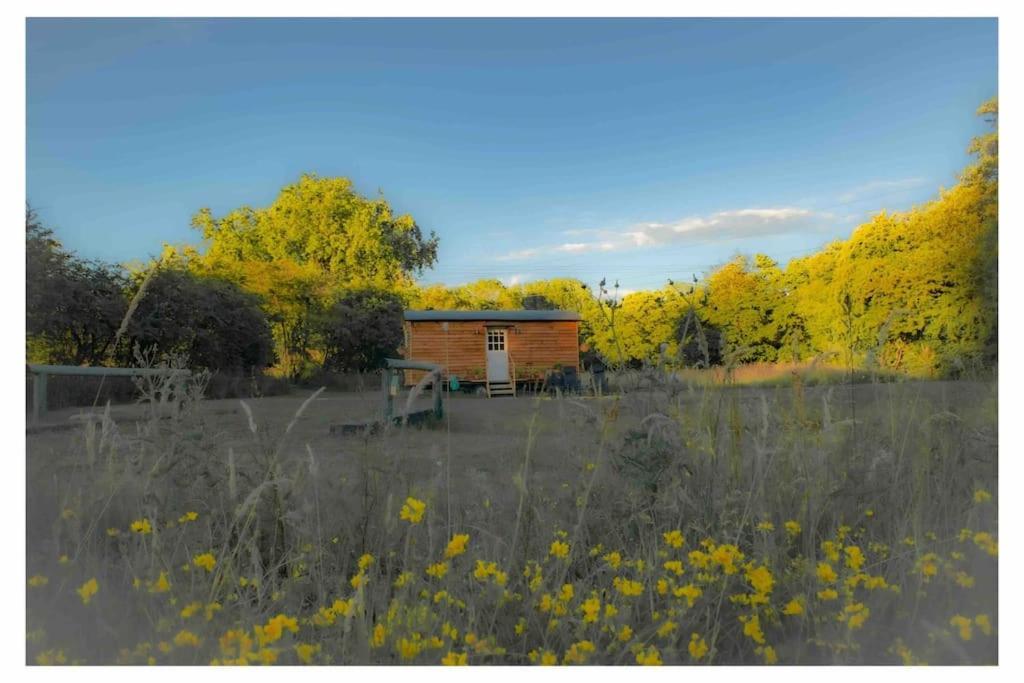 Mountbatten Shepherds Hut & Buckhurst Shepherds Hut Ashford  Kültér fotó
