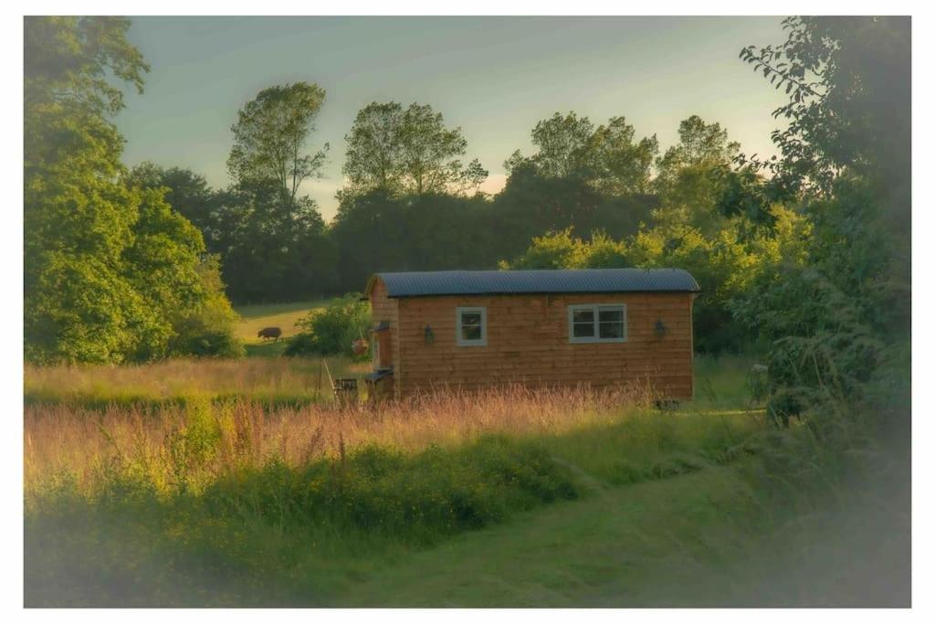 Mountbatten Shepherds Hut & Buckhurst Shepherds Hut Ashford  Kültér fotó