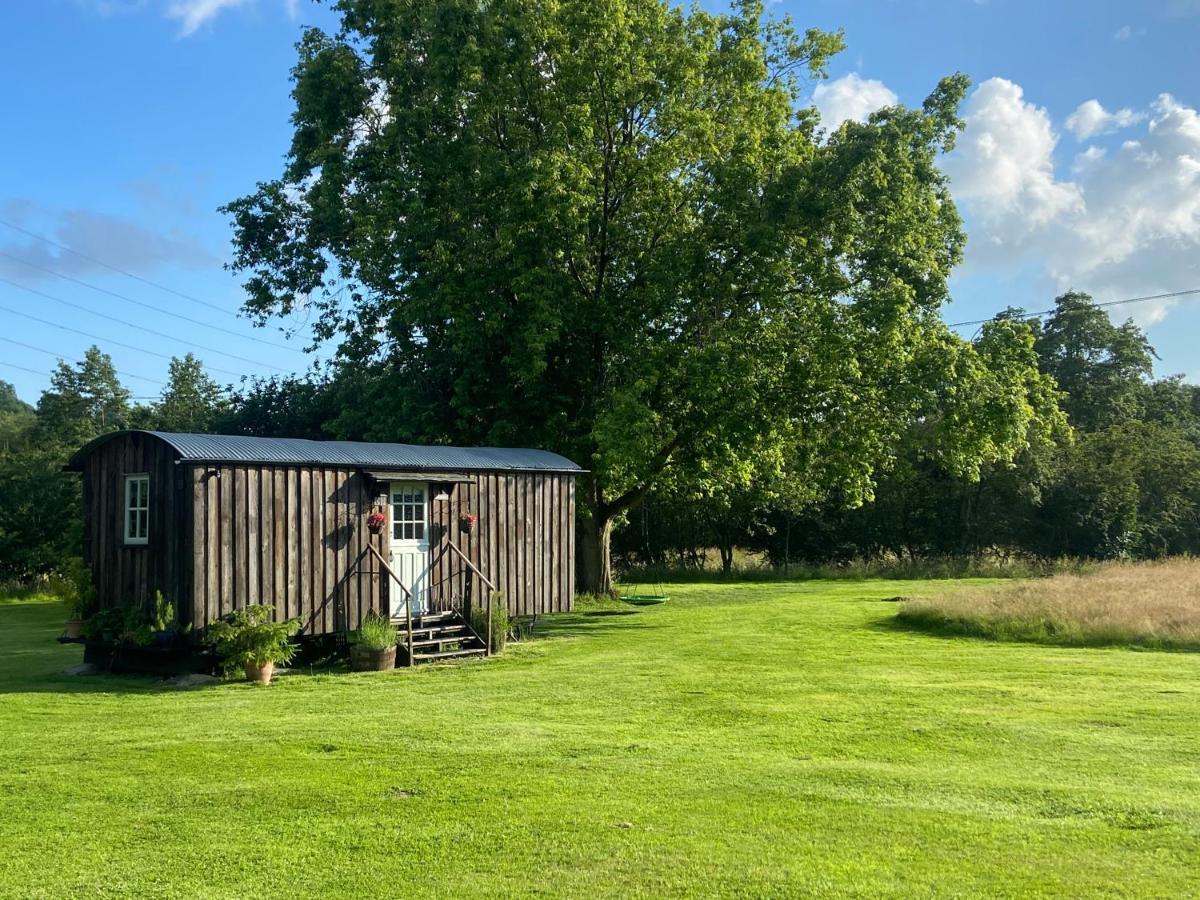 Mountbatten Shepherds Hut & Buckhurst Shepherds Hut Ashford  Kültér fotó