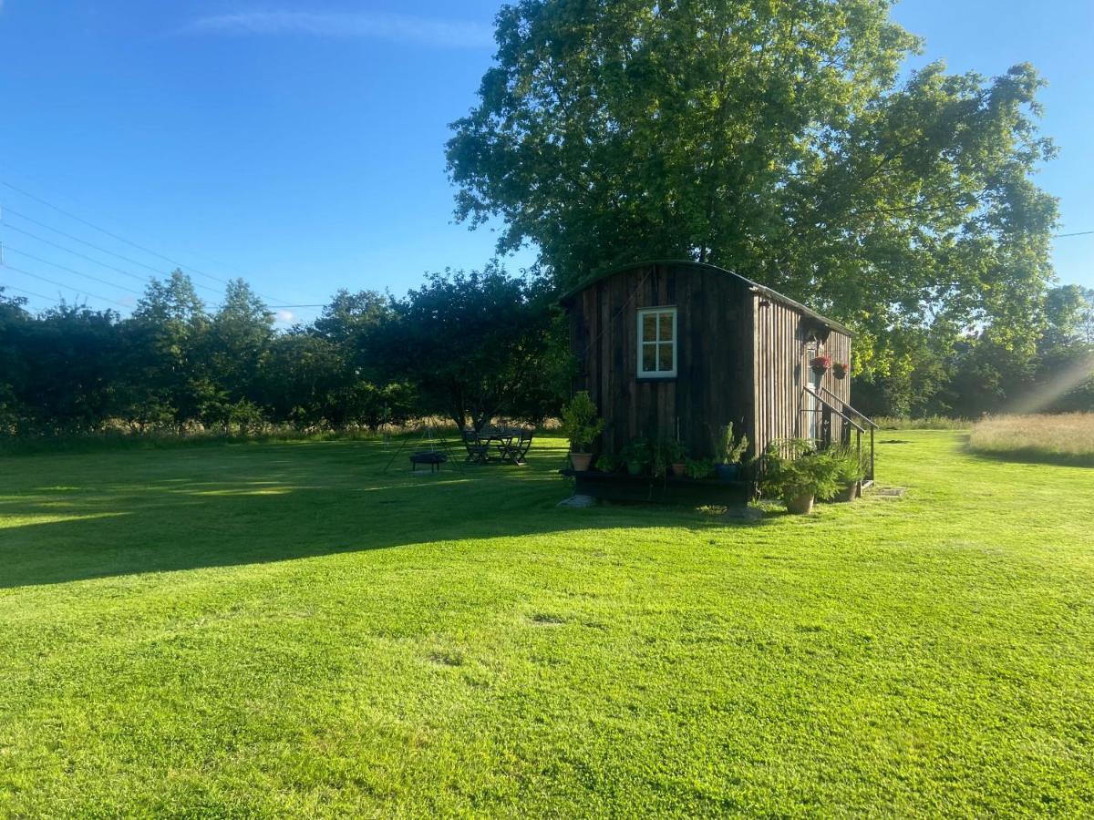 Mountbatten Shepherds Hut & Buckhurst Shepherds Hut Ashford  Kültér fotó