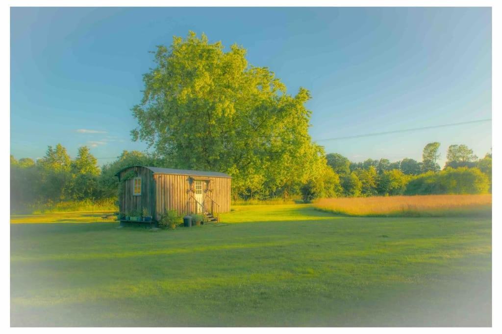 Mountbatten Shepherds Hut & Buckhurst Shepherds Hut Ashford  Kültér fotó